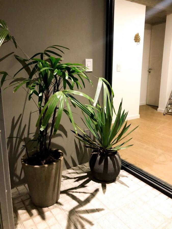 Cilveti 468 Departamento Con Cochera, Excelente Ubicacion Apartment *
